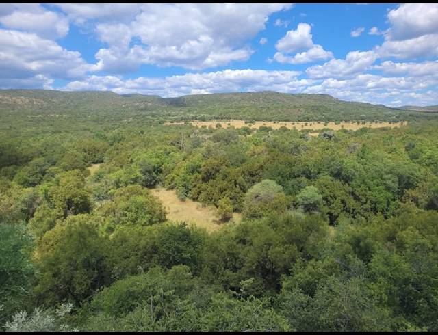 272HA FARM FOR SALE IN KOSTER